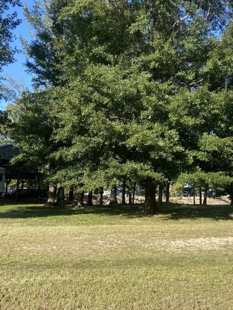 $60,000 | 442 Duck Blind Road, Clifton, TN 38425
