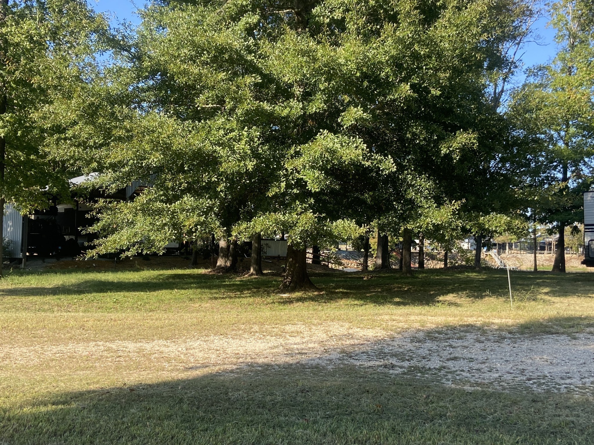 442 Duck Blind Road Clifton, TN 38425 - Photo 20 of 33 a view of a swimming pool and trees in the background