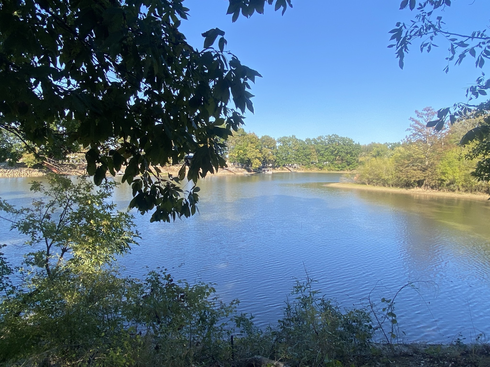 442 Duck Blind Road Clifton, TN 38425 - Photo 2 of 33 a view of lake with mountain