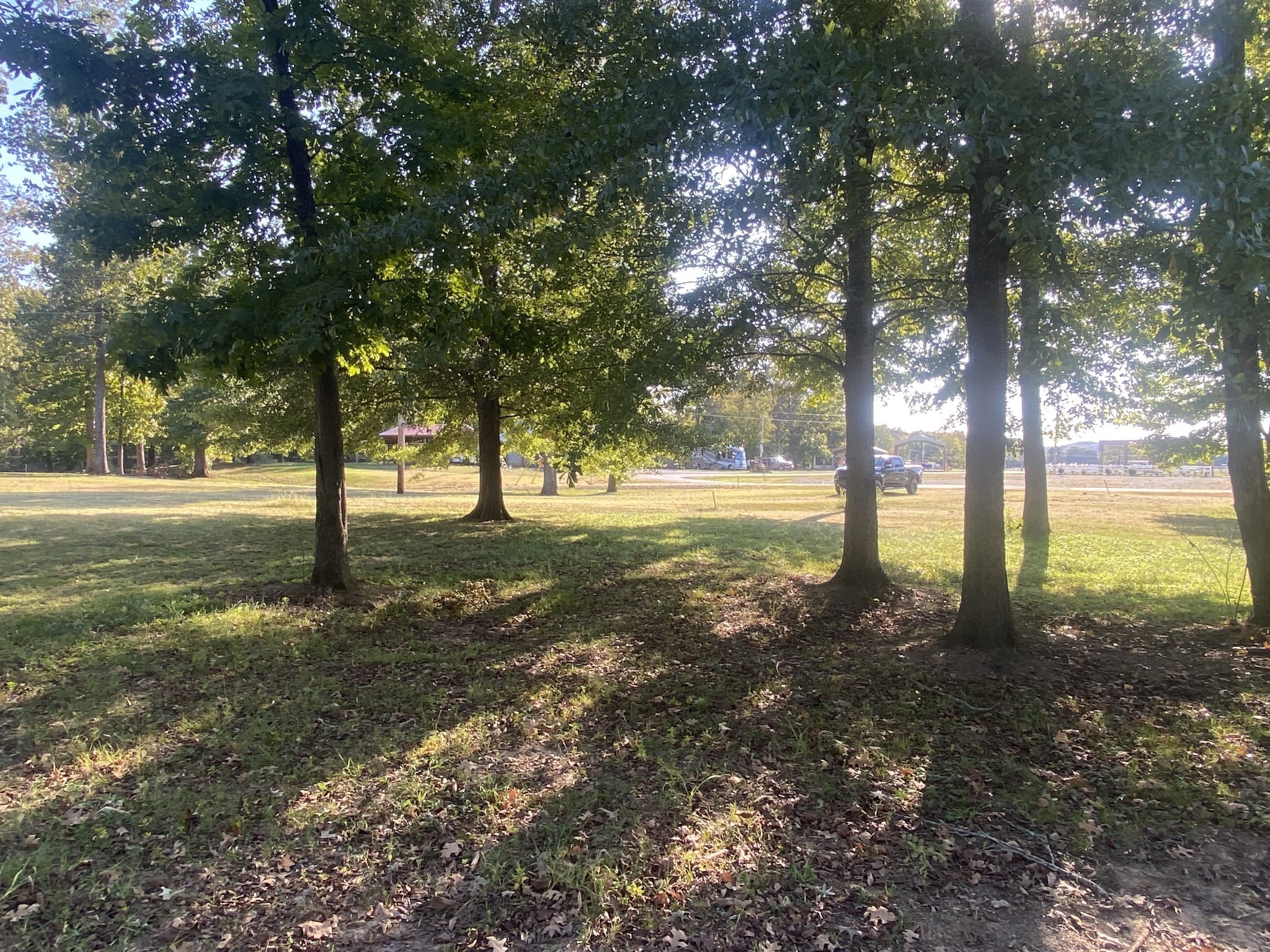 442 Duck Blind Road Clifton, TN 38425 - Photo 21 of 33 a view of yard with tree