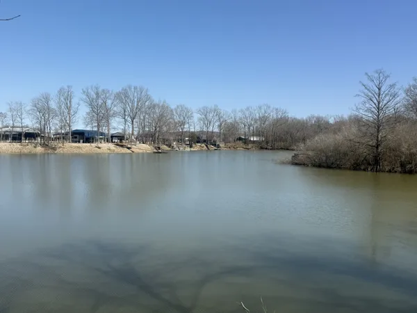 $60,000 | 442 Duck Blind Road, Clifton, TN 38425