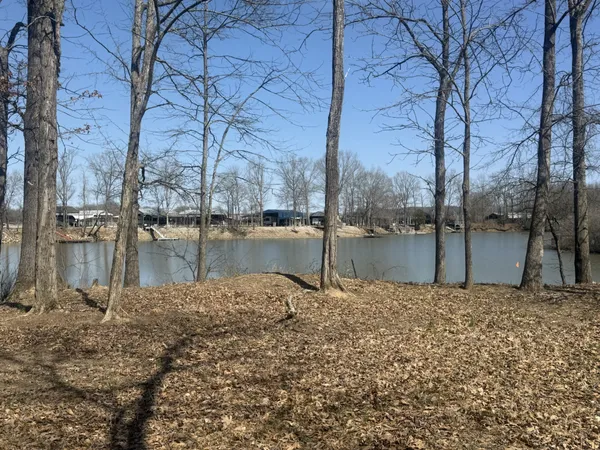 $60,000 | 442 Duck Blind Road, Clifton, TN 38425