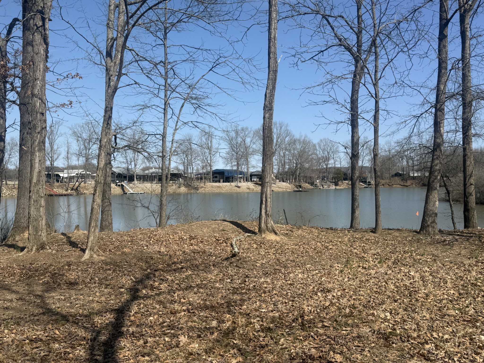 442 Duck Blind Road Clifton, TN 38425 - Photo 29 of 33 a view of a lake view