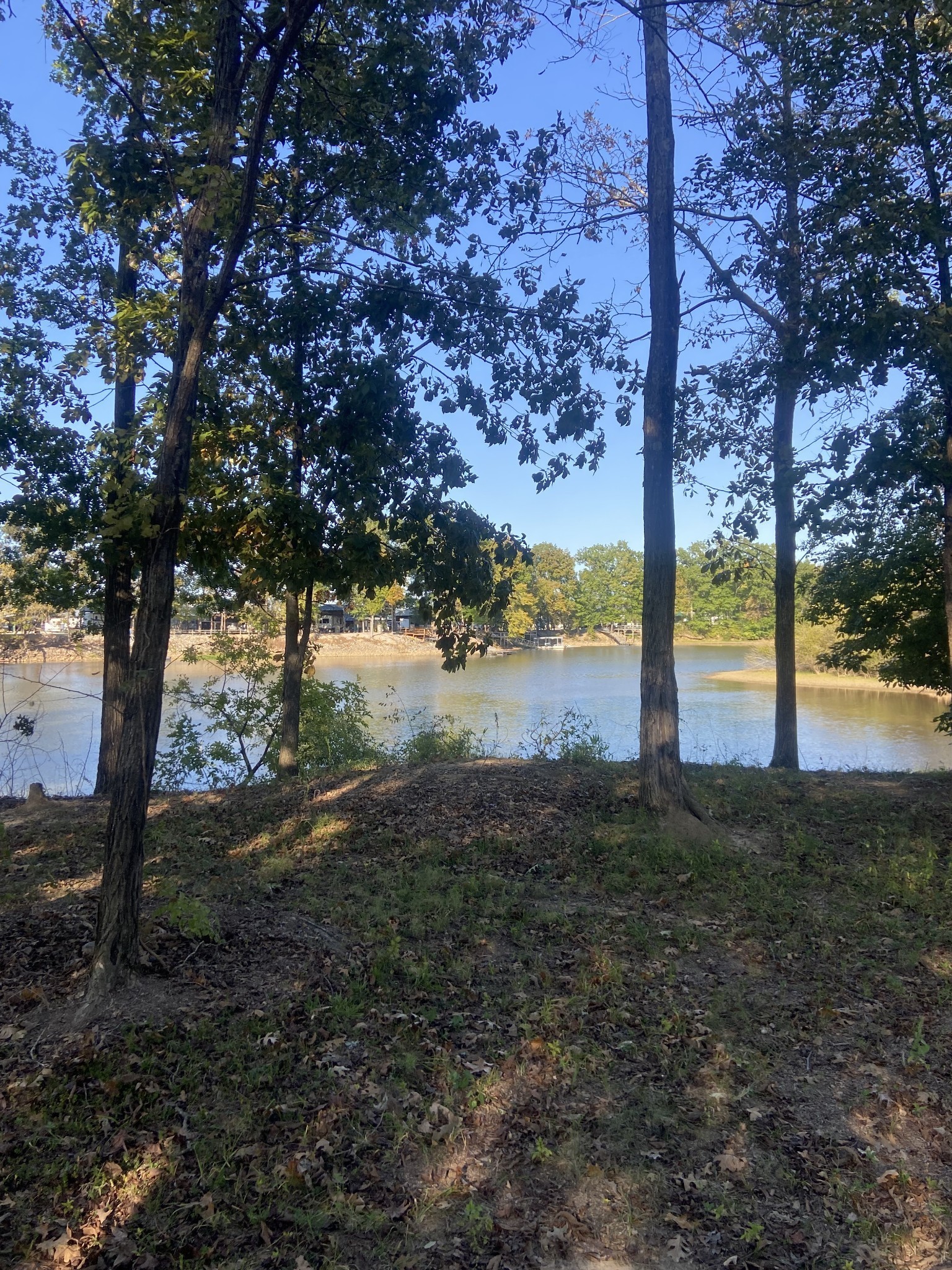 442 Duck Blind Road Clifton, TN 38425 - Photo 3 of 33 a view of a yard with a tree