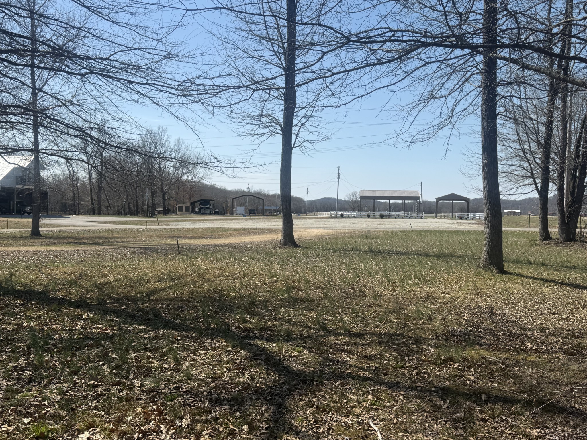 442 Duck Blind Road Clifton, TN 38425 - Photo 31 of 33 a view of a yard with a tree