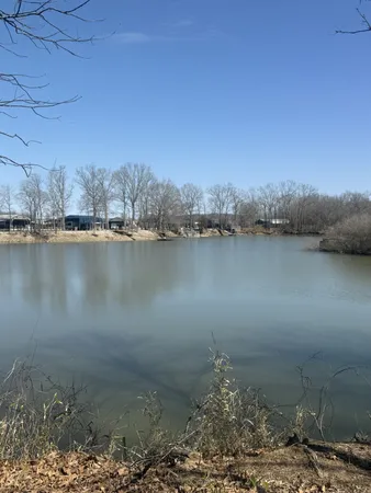 $60,000 | 442 Duck Blind Road, Clifton, TN 38425