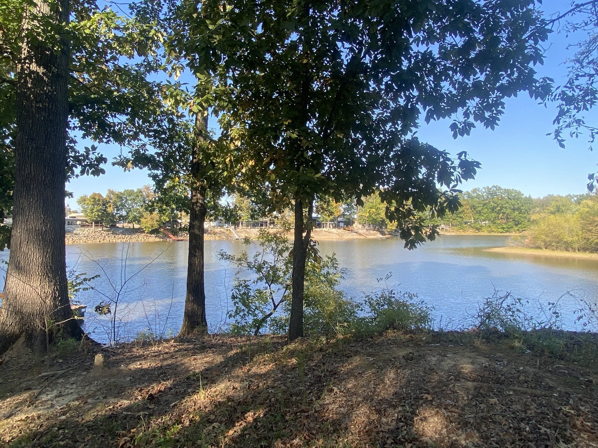 442 Duck Blind Road Clifton, TN 38425 - Photo 4 of 33 a view of a lake in between the field