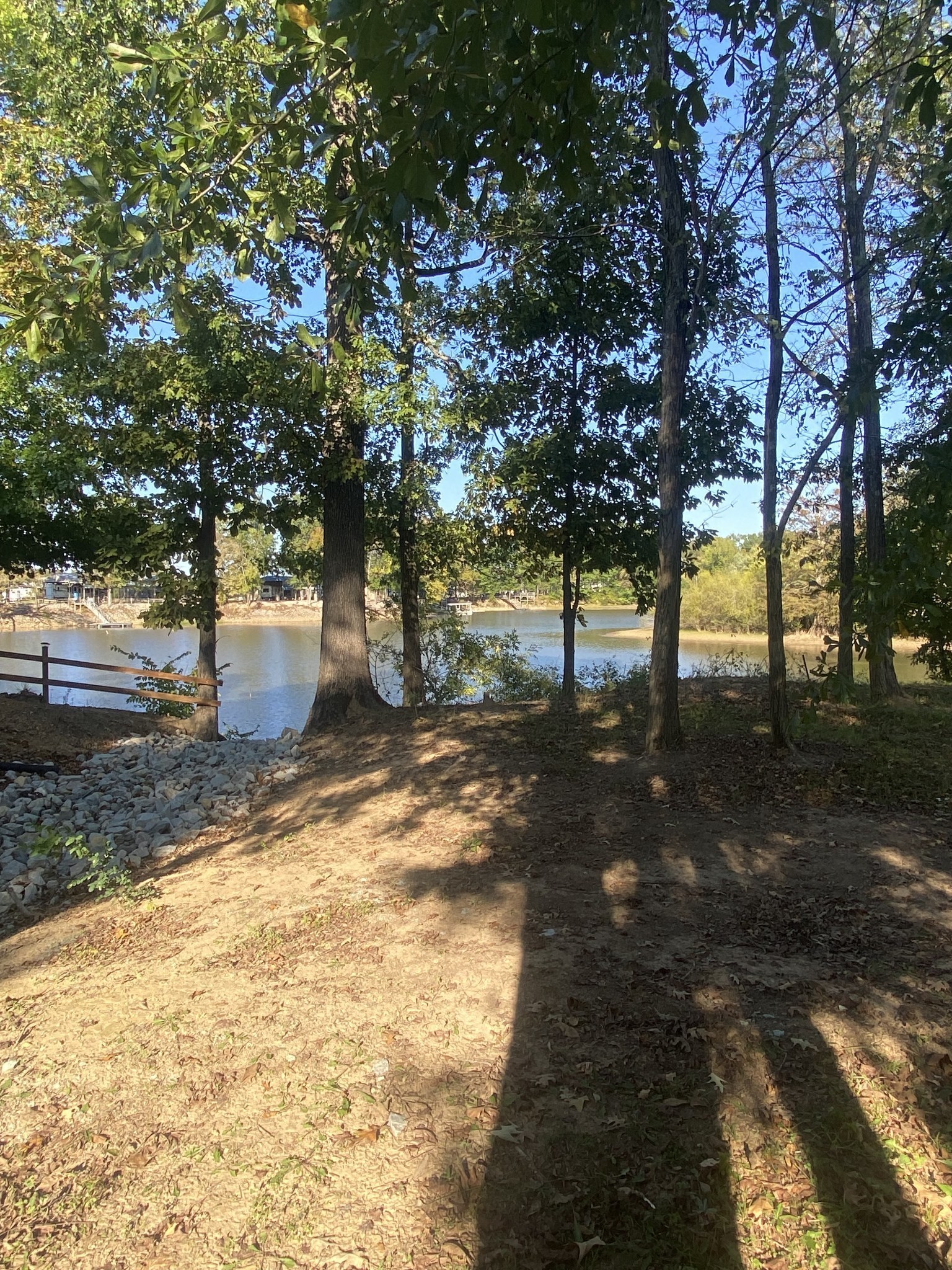 442 Duck Blind Road Clifton, TN 38425 - Photo 6 of 33 a view of a yard with a tree