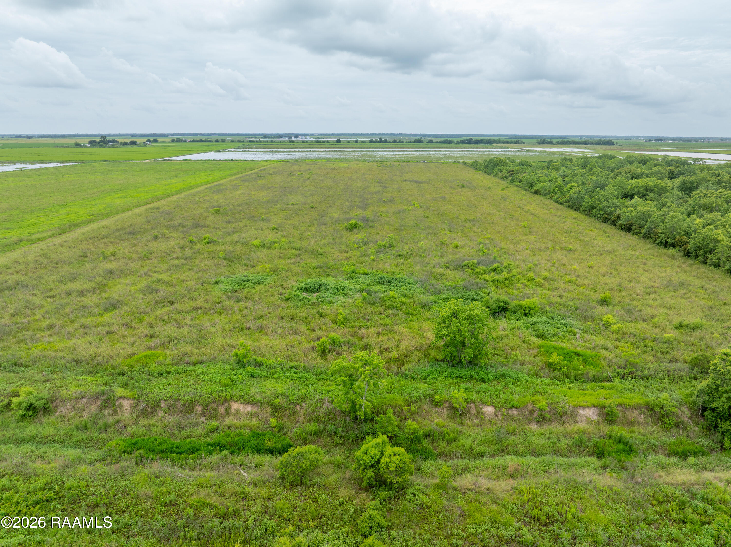 0 Bluefish Road Crowley, LA 70526 - Photo 7 of 11