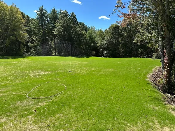 a backyard of a house with lots of green space