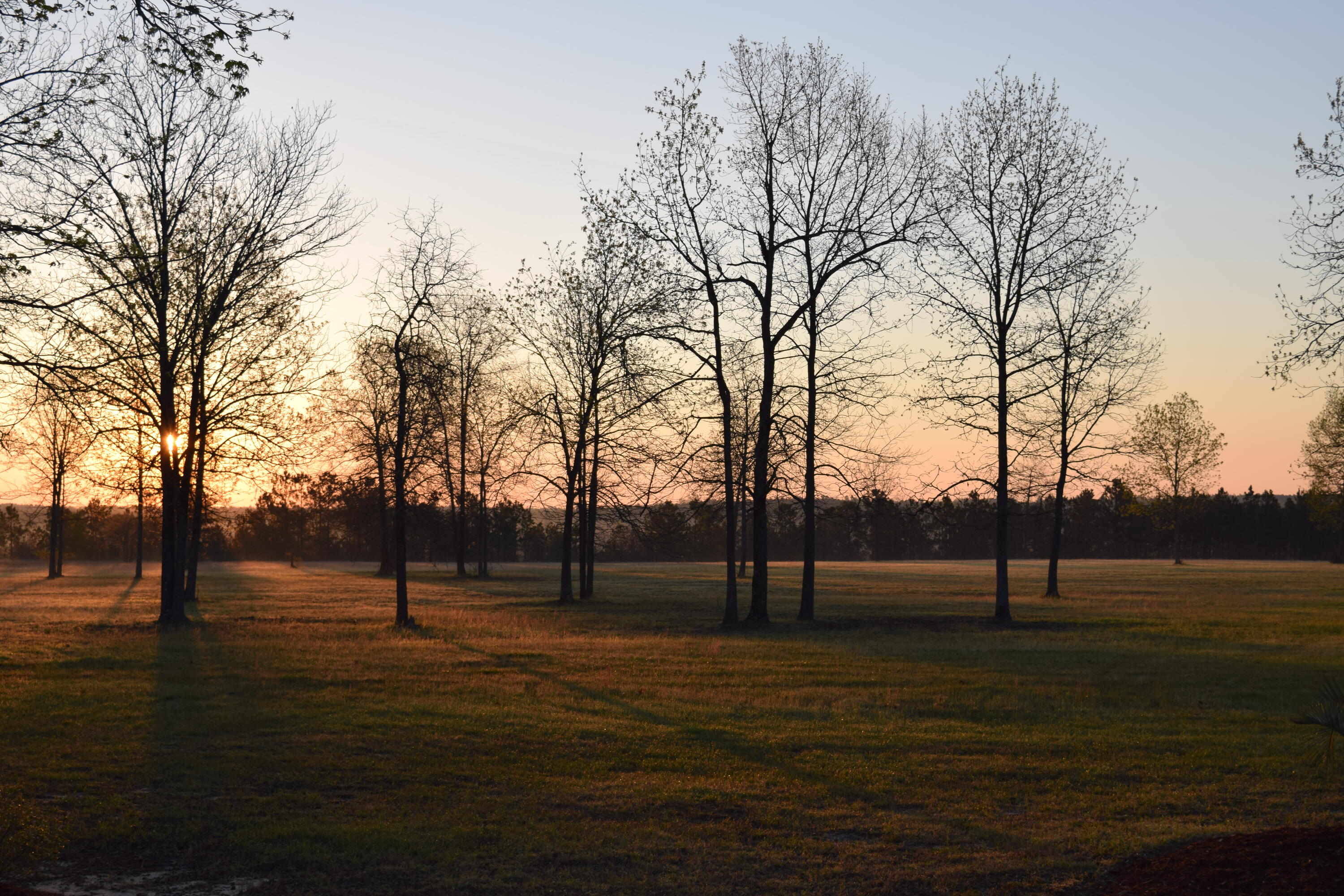 937 Colbert Bridge Road Aiken, SC 29803 - Photo 21 of 58