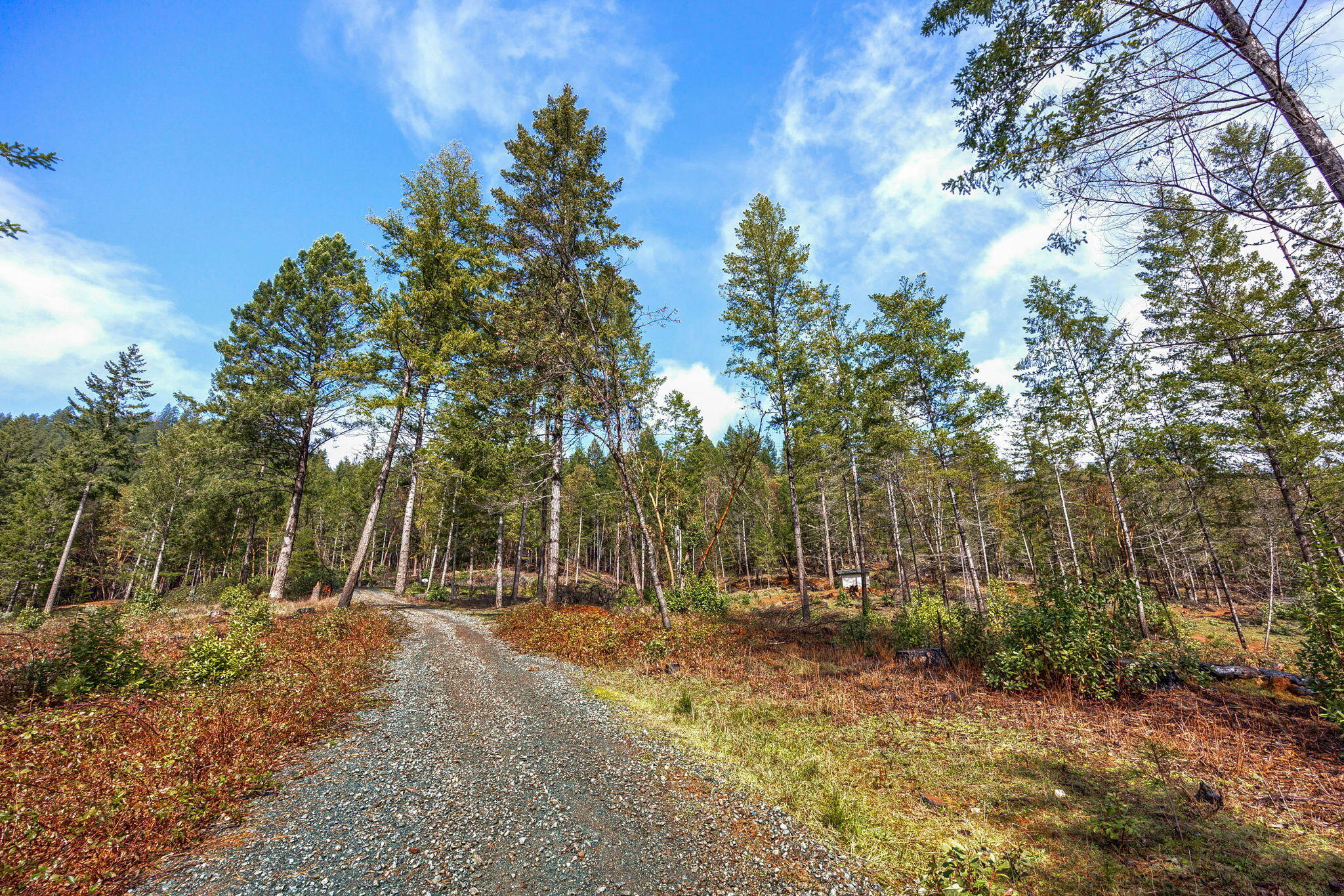 200 Hog Creek Road Merlin, OR 97532 - Photo 19 of 26 6-web-or-mls-HCR (6)