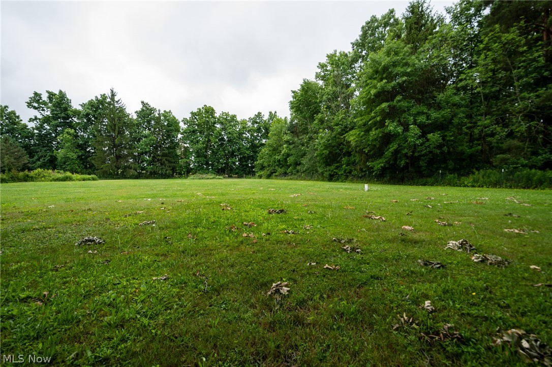 14027 Mayfield Road Huntsburg, OH 44046 - Photo 44 of 50
