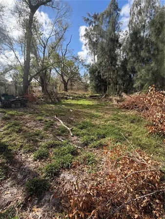 a view of a yard with a tree