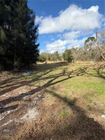 a view of an ocean and a yard