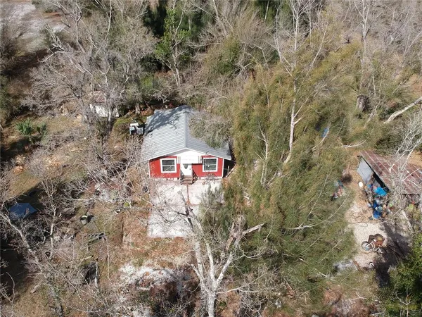 a view of a tree with a yard