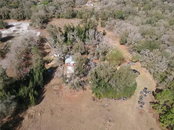 a view of a dry yard with plants and trees