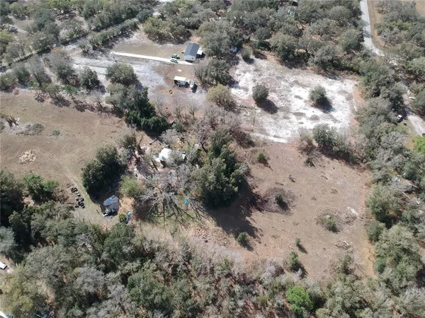 a view of a forest with trees