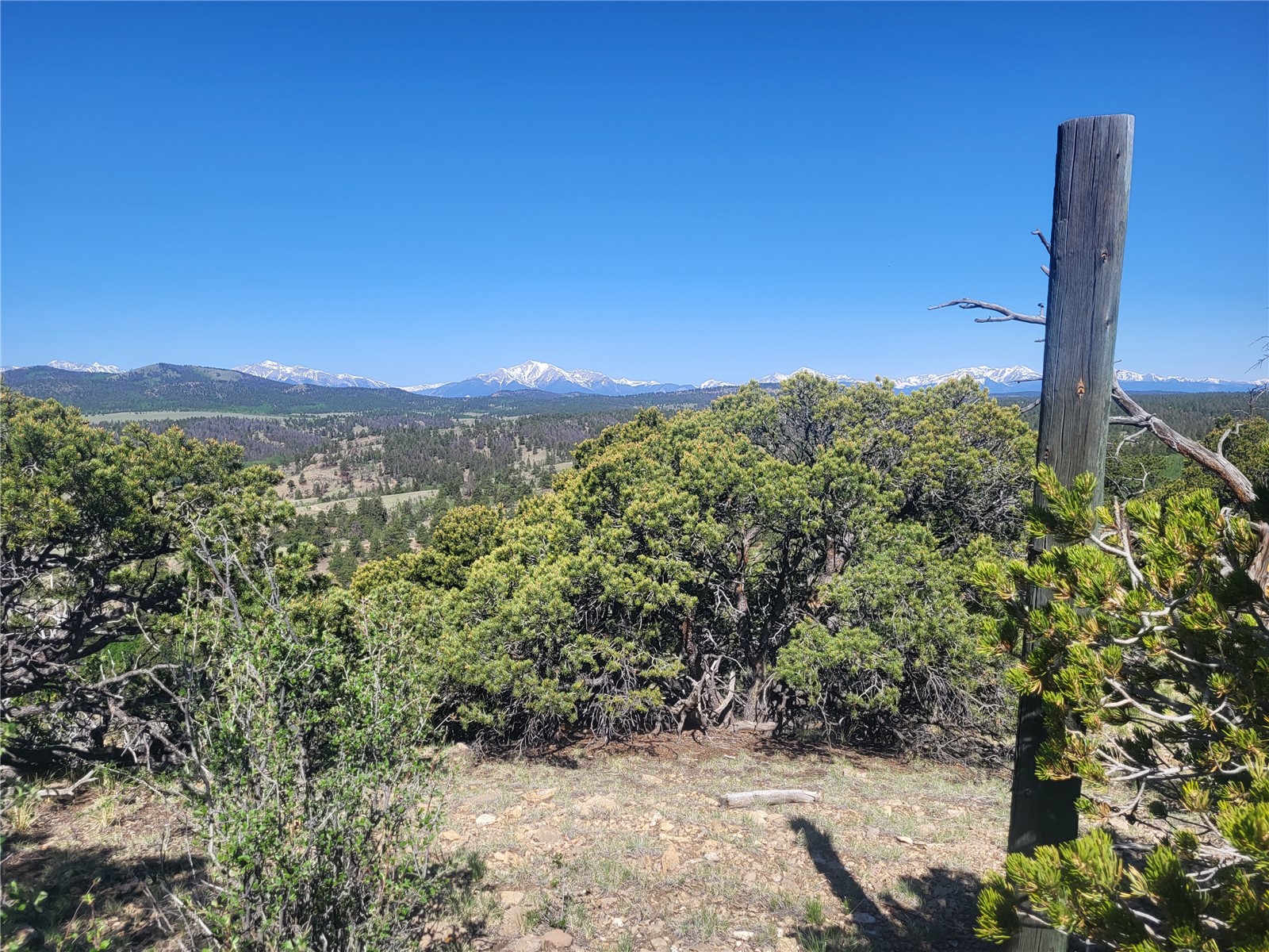 0 Castle Rock Road Hartsel, CO 80449 - Photo 6 of 28 Gallery Image 6