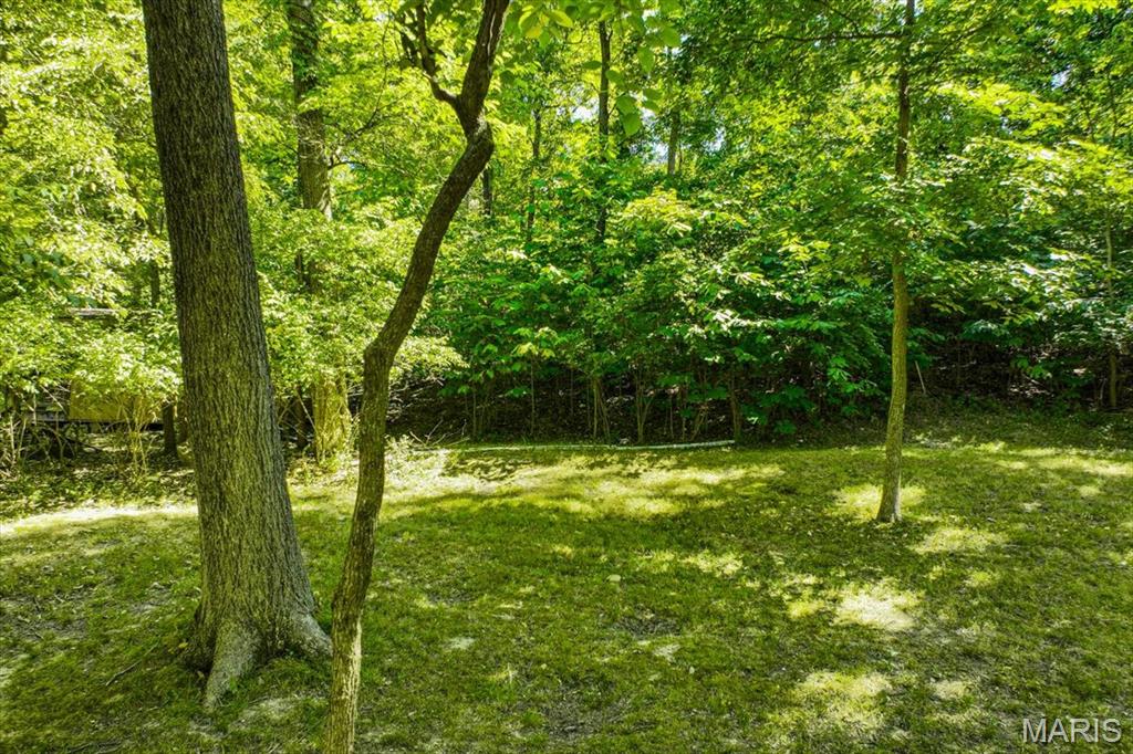 13310 West Watson Road Sunset Hills, MO 63127 - Photo 16 of 32