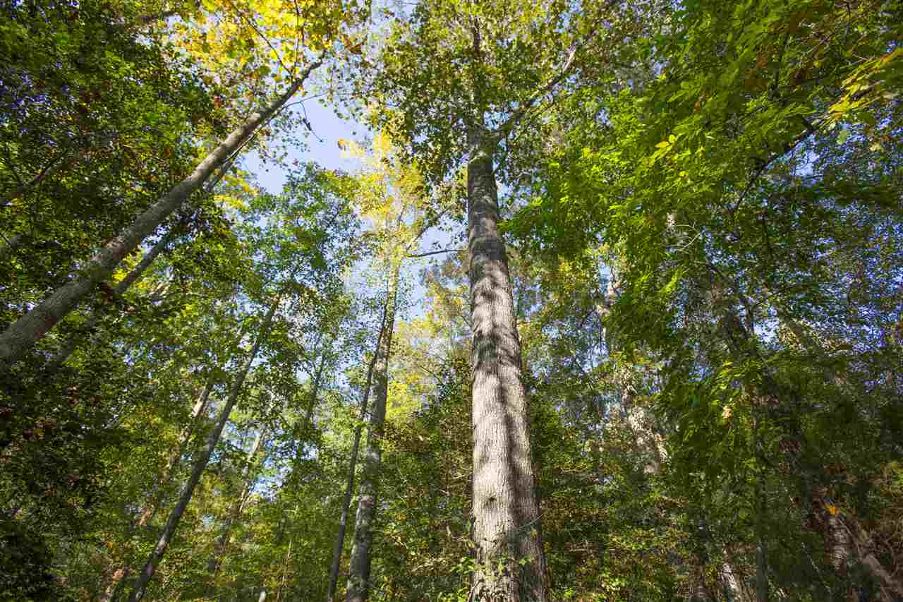 1404 Pleasants Road Wendell, NC 27591 - Photo 24 of 25 Photo 24