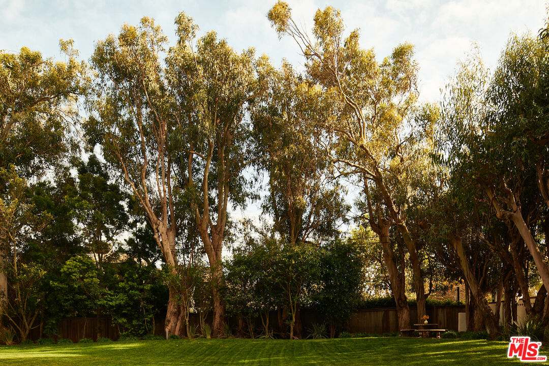 6930 Dume Drive Malibu, CA 90265 - Photo 33 of 34 a big yard with trees