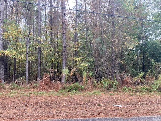 0 East Lewiston Road Kentwood, LA 70444 - Photo 6 of 26 Photo 6