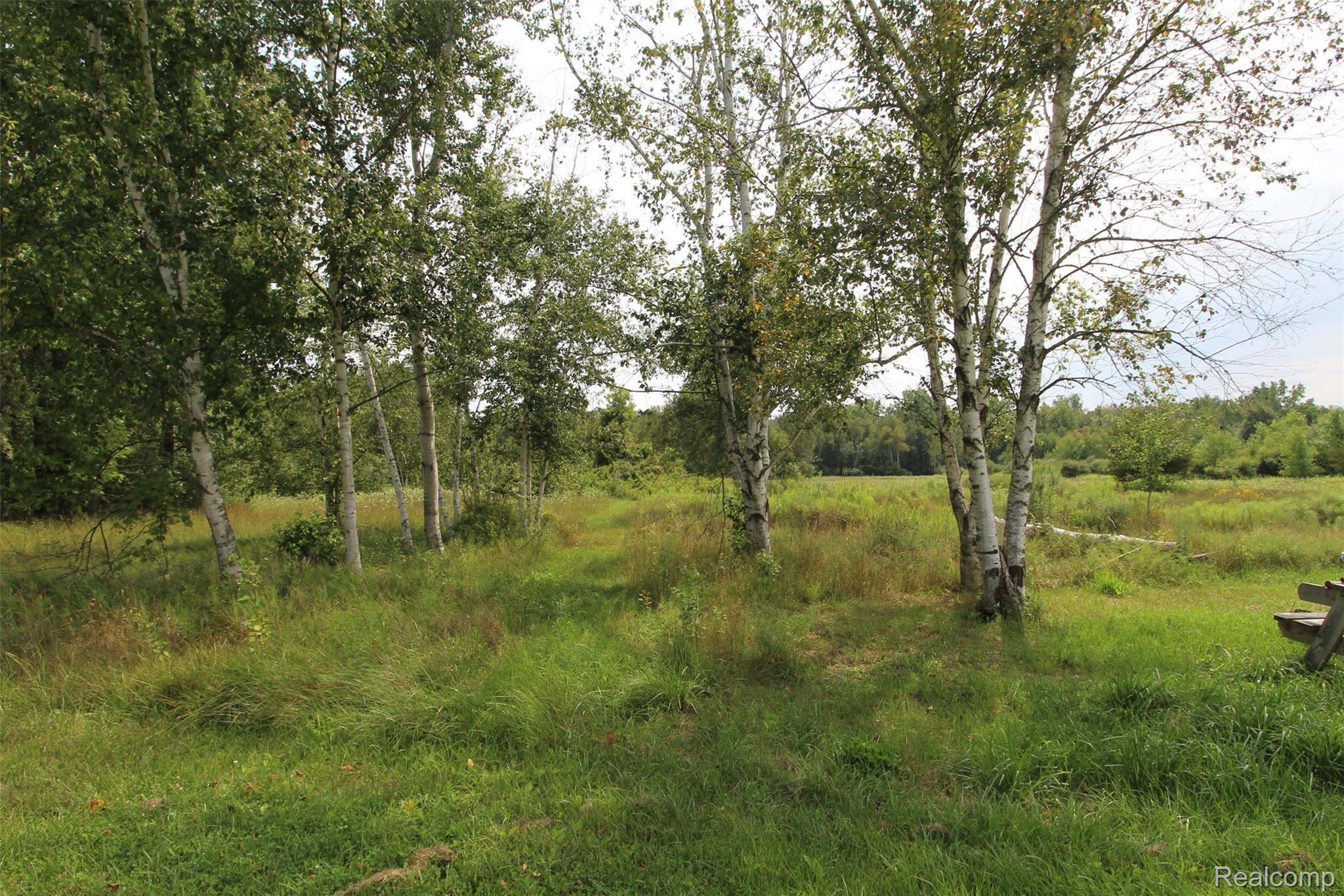 3590 James Road Caro, MI 48723 - Photo 35 of 65 IMG_9016.JPG