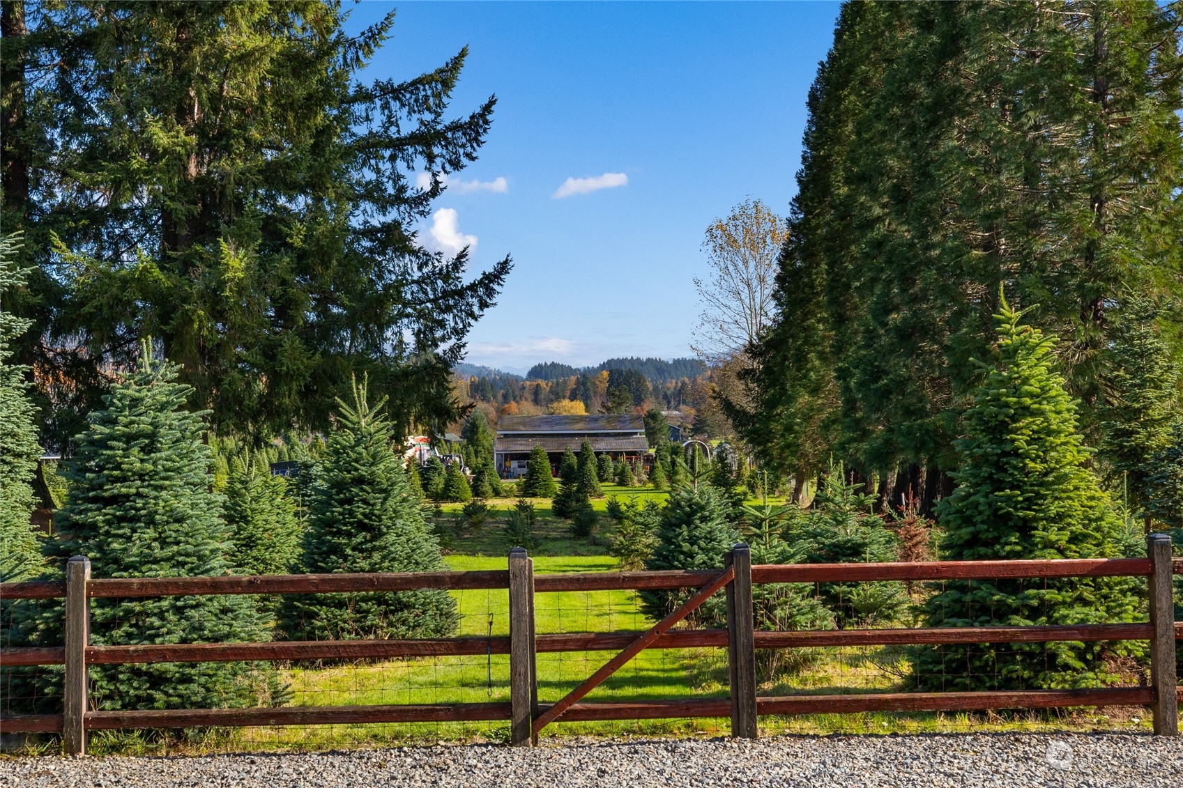 26417 Southeast 200th Street Maple Valley, WA 98038 - Photo 29 of 38 a view of a garden