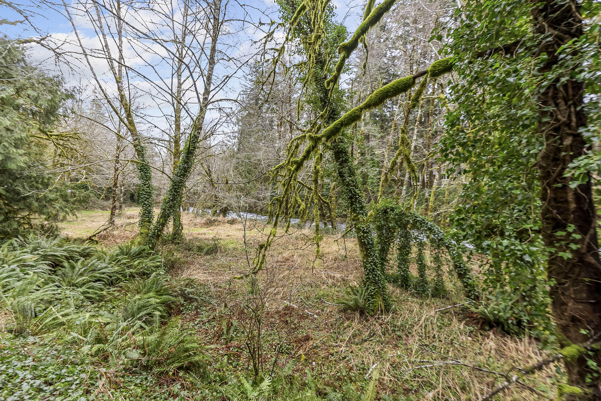 400 North Slick Rock Creek Road Otis, OR 97368 - Photo 19 of 20 Flat Lot