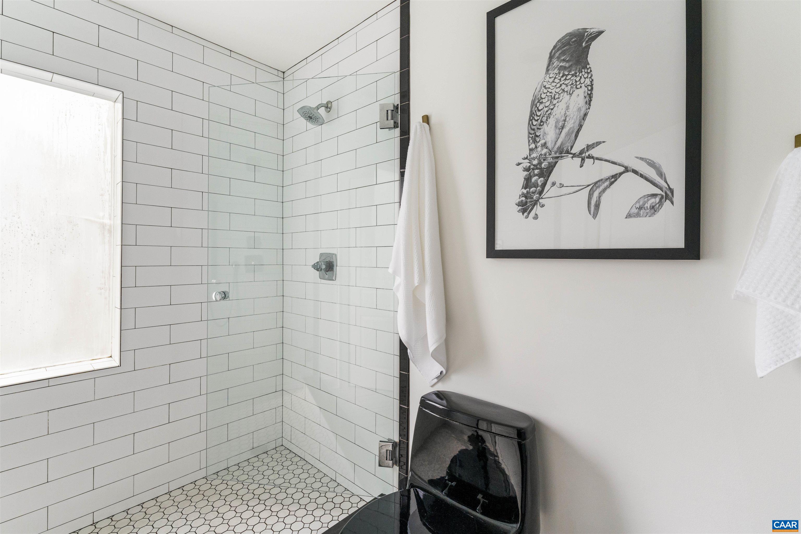 738 Lexington Avenue Charlottesville, VA 22902 - Photo 19 of 34 a bathroom with a shower