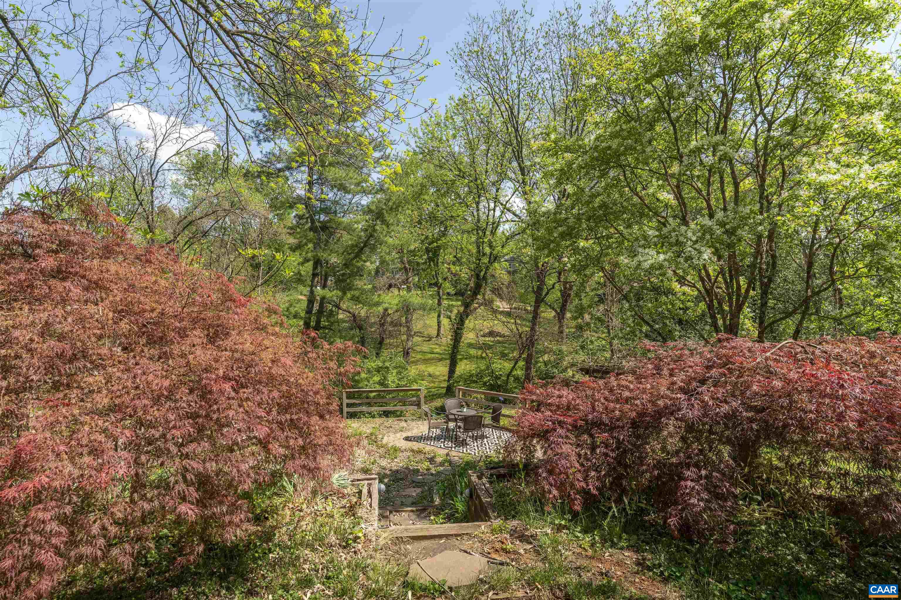 738 Lexington Avenue Charlottesville, VA 22902 - Photo 28 of 34 a backyard of a house with lots of green space