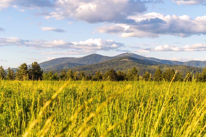 Nka East Day Mt Spokane Road, Unit NORTH PARCEL Mead, WA 99021 - Photo 1 of 22
