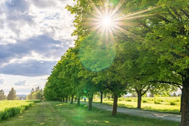 $550,000 | Nka East Day Mt Spokane Road, Unit NORTH PARCEL, Mead, WA 99021