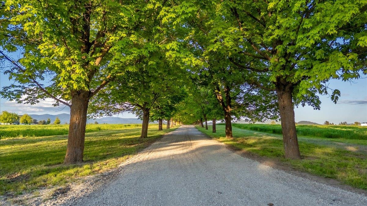 Nka East Day Mt Spokane Road, Unit NORTH PARCEL Mead, WA 99021 - Photo 4 of 22