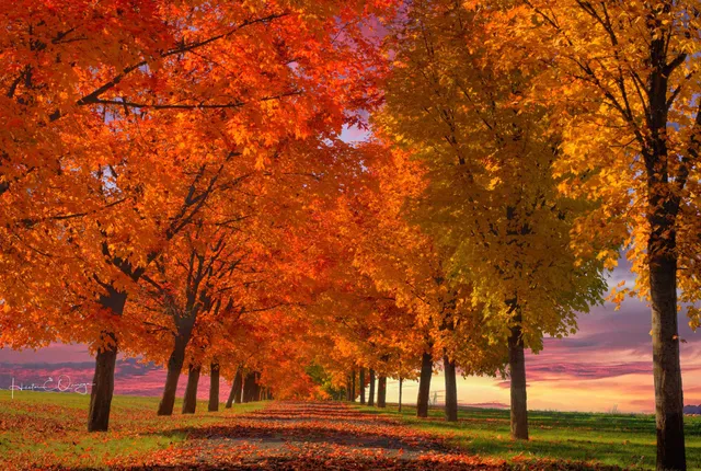 $550,000 | Nka East Day Mt Spokane Road, Unit NORTH PARCEL, Mead, WA 99021