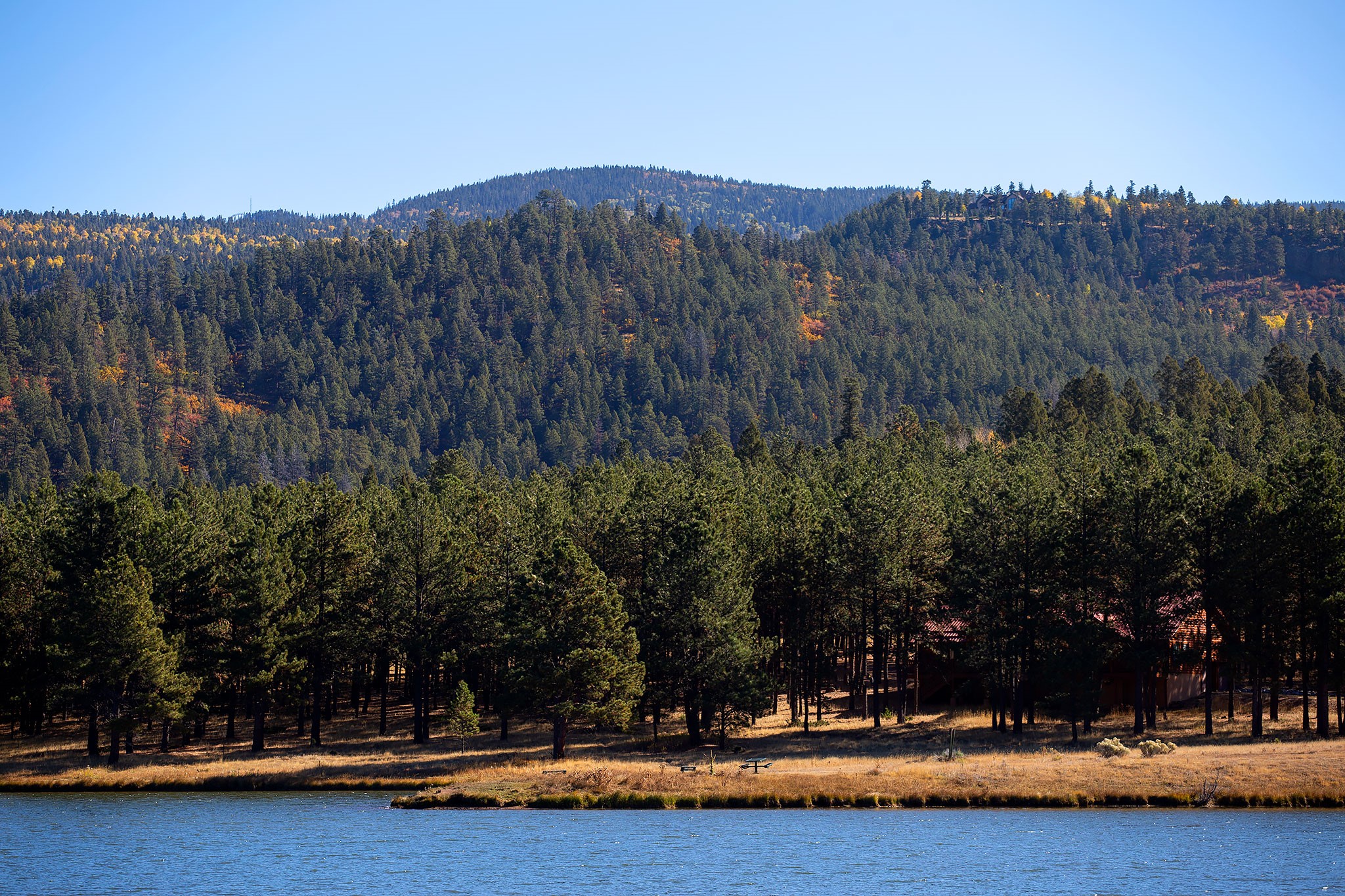 1 The Ranch Angel Fire, NM 87710 - Photo 60 of 67