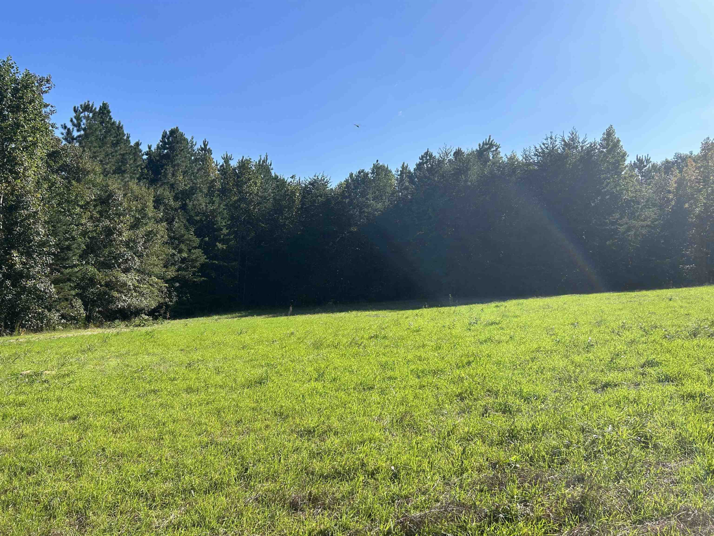 24-acres Medford Oakley Road Rougemont, NC 27572 - Photo 4 of 4 Photo 4