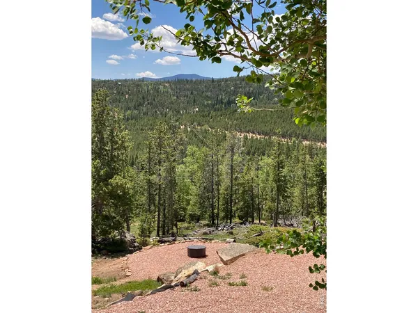 a view of a yard in front of a house