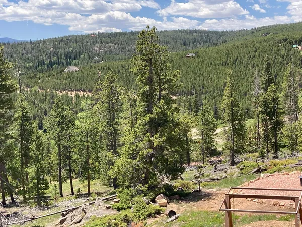 a view of a city with lush green forest