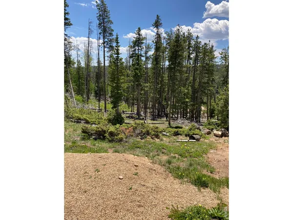 a view of a garden with tall buildings