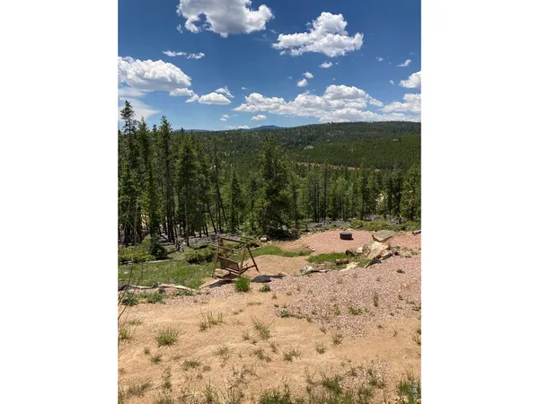 a view of a yard with a tree