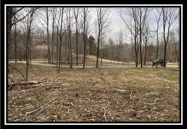 35471 Buck Run Road Langsville, OH 45741 - Photo 18 of 32 image019