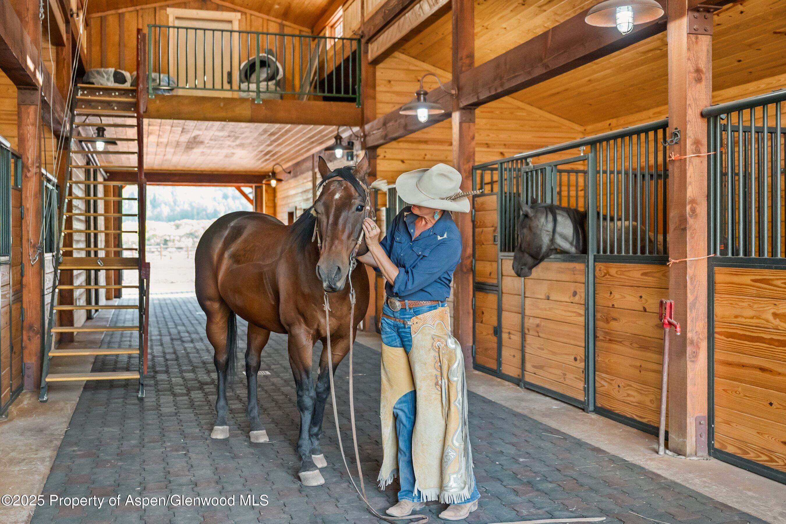 1301 Shield O Road Snowmass, CO 81654 - Photo 54 of 58 a view of outdoor space