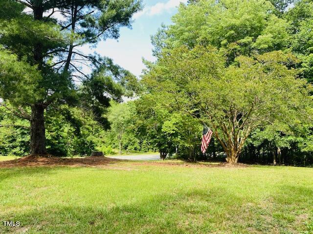 480 Peed Road Rougemont, NC 27572 - Photo 38 of 38 a view of outdoor space and yard