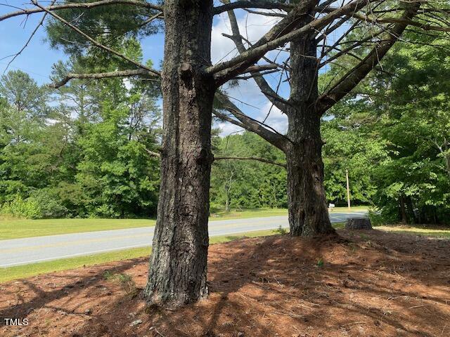 480 Peed Road Rougemont, NC 27572 - Photo 5 of 38 a view of a yard with a tree