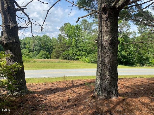 480 Peed Road Rougemont, NC 27572 - Photo 8 of 38 a view of a yard with an outdoor space