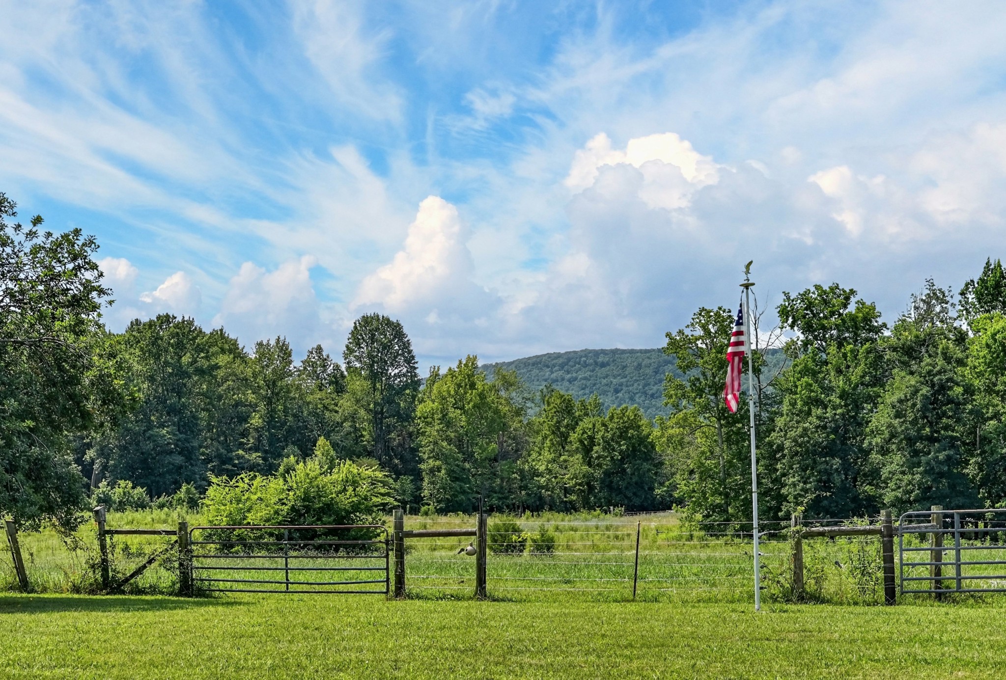 1377 Chestnut Grove Road Morrison, TN 37357 - Photo 8 of 67