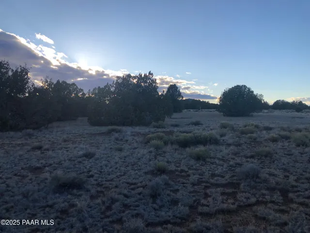 a view of a big yard
