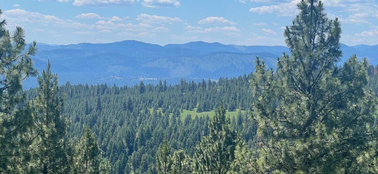 3635 B Breckenridge Road Rice, WA 99167 - Photo 14 of 16